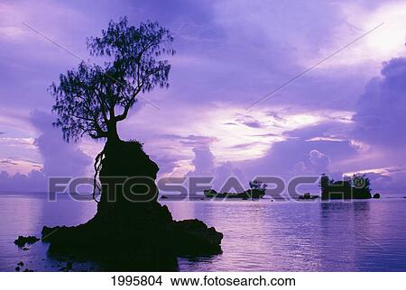 Micronesia, Guam, Ipan, Unusual Rock Formations In Water Silhouetted At Sunset View Large Photo Image Picture - Micronesia, Guam, Ipan, Unusual Rock Formations In Water Silhouetted At Sunset. Fotosearch