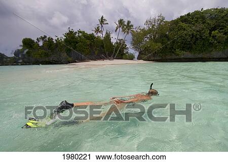 Stock Image - Micronesia, Palau, 3 Palm Beach, Woman Snorkeling With Tropical Beach In Background.. Fotosearch