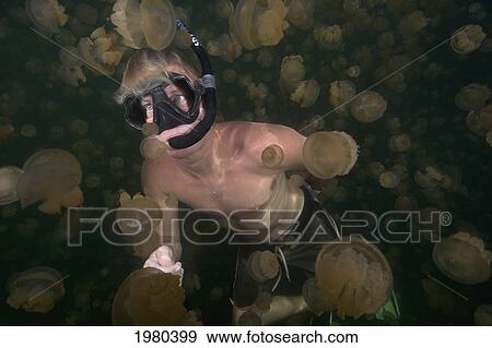 Stock Photo - Micronesia, Palau, Free-Diver Amongst The Non-Stinging And Moon Jellyfish Of Palau's Jellyfish Lake.. Fotosearch