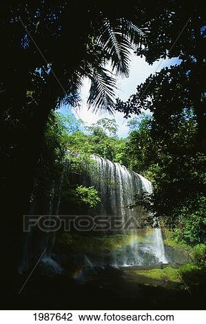Stock Image - Micronesia, Palau, Ngardmau Falls surrounded by lush greenery and rainbow in mist; Babeldaop Island. Fotosearch