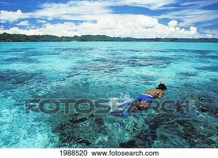 Stock Image - Micronesia, Palau, Rock Islands, Local Person Snorkels Over Shallow Reef. Fotosearch
