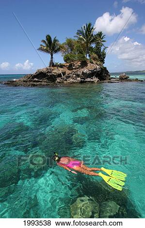 Stock Photo - Micronesia, Palau, View From Above Of Woman Snorkeling Over Shallow Reef, Island In Background. Fotosearch