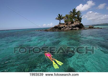 Stock Photo - Micronesia, Palau, View From Above Of Woman Snorkeling Over Shallow Reef, Island In Background. Fotosearch