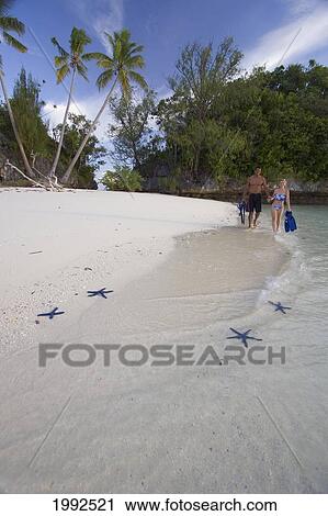 Stock Image - Micronesia, Palau, Yahoo Beach, Couple With Snorkel Equipment Walk Down A Seastar Covered Beach.. Fotosearch