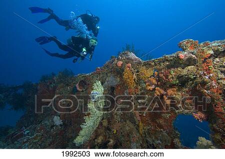 Stock Image - Micronesia, Palua, Scuba Divers Explore The Buoy 6 Wreck.. Fotosearch