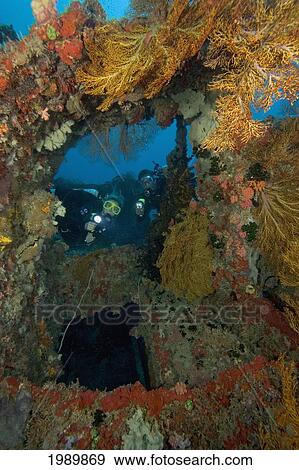 Stock Photo - Micronesia, Palua, Scuba Divers Explore The Buoy 6 Wreck.. Fotosearch