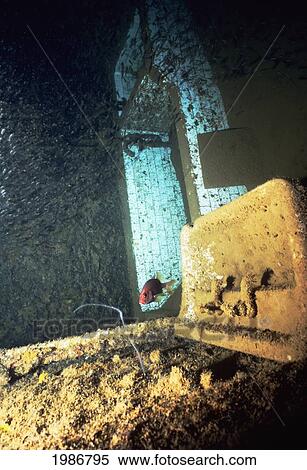 Micronesia, Soldier's bathroom and fish swimming through rusting ship interior; Truk Lagoon, World War II shipwreck Shinkoku Maru View Large Photo Image Stock Photography - Micronesia, Soldier's bathroom and fish swimming through rusting ship interior; Truk Lagoon, World War II shipwreck Shinkoku Maru. Fotosearch