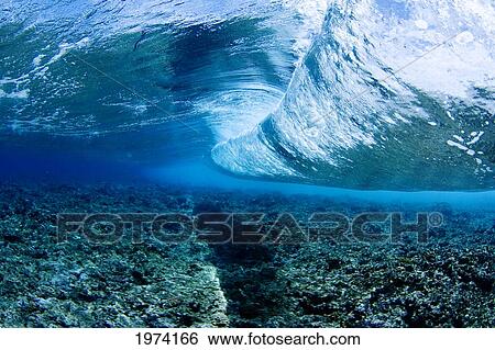 Stock Photograph - Micronesia, Underwater View Of Wave; Yap. Fotosearch
