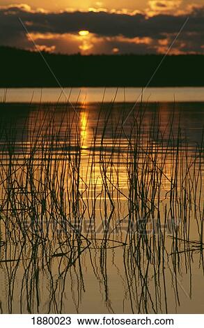 Midnight Sun Setting Over River Tornio View Large Photo Image Stock Image - Midnight Sun Setting Over River Tornio. Fotosearch
