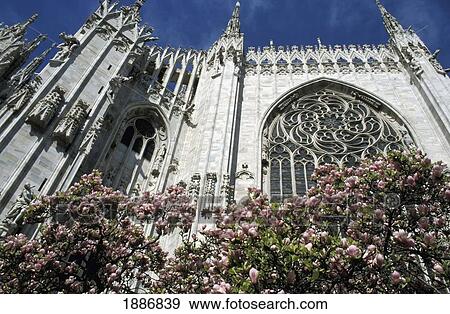 Stock Photo - Milan's Duomo And Flowers, Low Angle View. Fotosearch