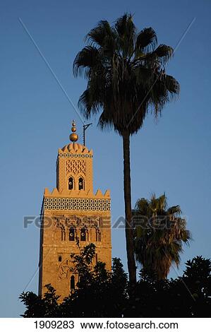 Minaret Of Koutoubia Mosque And Palm Tree, Marrakesh, Morocco View Large Photo Image Stock Image - Minaret Of Koutoubia Mosque And Palm Tree, Marrakesh, Morocco. Fotosearch