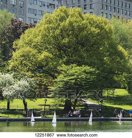 Stock Photo - Miniature sailboats on the water at an urban park; New York City, New York, United States of America. Fotosearch