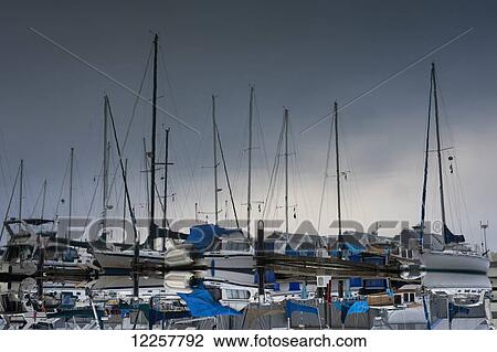 Mirror image reflection of sailboats in tranquil water; Olympia, Washington, United States of America View Large Photo Image Stock Image - Mirror image reflection of sailboats in tranquil water; Olympia, Washington, United States of America. Fotosearch
