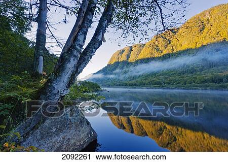 Mist On Jacques-Cartier River At Dawn In Jacques-Cartier National Park; Quebec Canada View Large Photo Image Stock Image - Mist On Jacques-Cartier River At Dawn In Jacques-Cartier National Park; Quebec Canada. Fotosearch