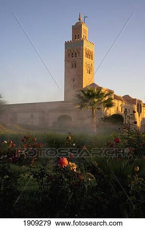 Stock Photo - Mist Rising From Rose Gardens By Minaret Of Koutoubia Mosque At Dawn, Marrakesh, Morocco. Fotosearch