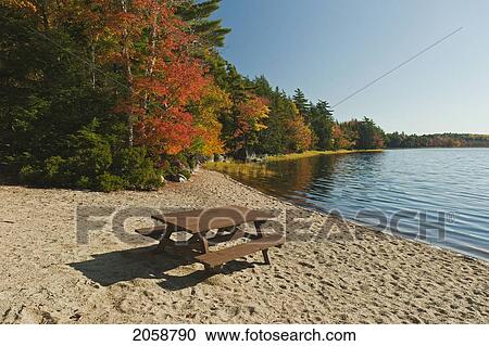 Stock Image - Mixed Wood Forest Lines Kejimkujik Lake At Kedge Beach, Fall, Kejimkujik Np, Nova Scotia, Canada.. Fotosearch