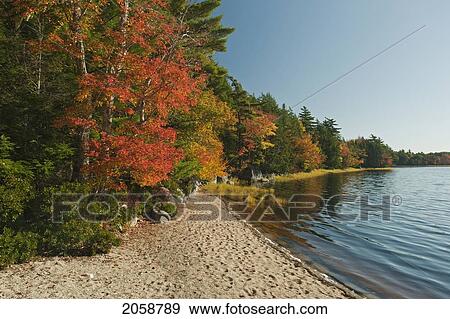 Stock Photo - Mixed Wood Forest Lines Kejimkujik Lake At Kedge Beach, Fall, Kejimkujik Np, Nova Scotia, Canada.. Fotosearch