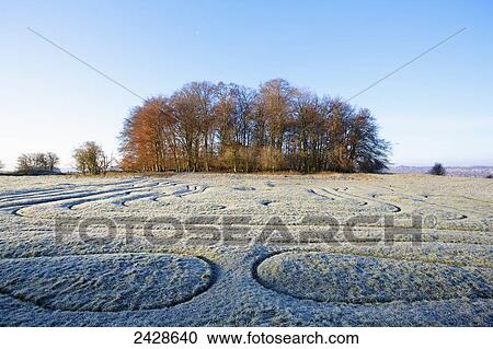 Mizmaze on a frosty morning on St. Catherine's Hill; Winchester, England View Large Photo Image Stock Image - Mizmaze on a frosty morning on St. Catherine's Hill; Winchester, England. Fotosearch