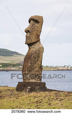 Moai At Hanga Kio'e, Rapa Nui (Easter Island), Chile View Large Photo Image Stock Image - Moai At Hanga Kio'e, Rapa Nui (Easter Island), Chile. Fotosearch