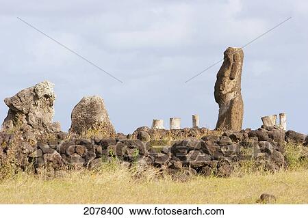 Moai At Hanga Te'e, Rapa Nui (Easter Island), Chile View Large Photo Image Stock Image - Moai At Hanga Te'e, Rapa Nui (Easter Island), Chile. Fotosearch