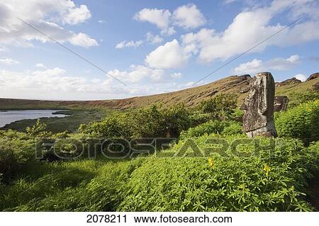 Stock Image - Moai By The Quarry In The Crater Of Rano Raraku Volcano, Rapa Nui (Easter Island), Chile. Fotosearch