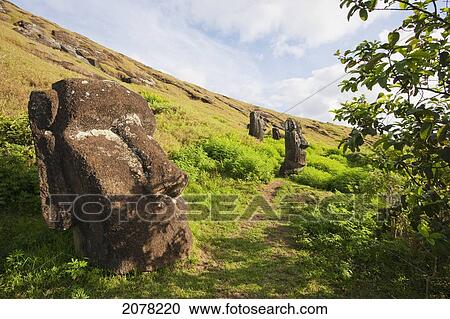 Stock Image - Moai By The Quarry In The Crater Of Rano Raraku Volcano, Rapa Nui (Easter Island), Chile. Fotosearch