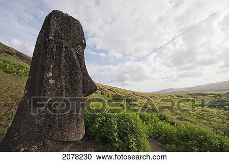 Moai By The Quarry In The Crater Of Rano Raraku Volcano, Rapa Nui (Easter Island), Chile View Large Photo Image Stock Image - Moai By The Quarry In The Crater Of Rano Raraku Volcano, Rapa Nui (Easter Island), Chile. Fotosearch