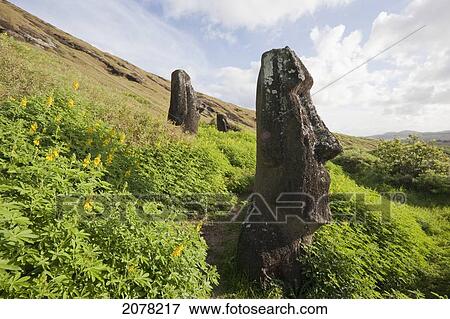 Moai By The Quarry In The Crater Of Rano Raraku Volcano, Rapa Nui (Easter Island), Chile View Large Photo Image Stock Photo - Moai By The Quarry In The Crater Of Rano Raraku Volcano, Rapa Nui (Easter Island), Chile. Fotosearch