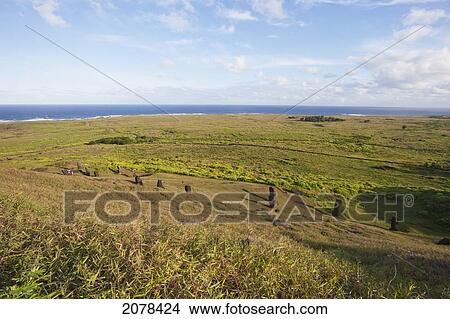 Moai By The Quarry On The Outer Slope Of The Rano Raraku Volcano, Rapa Nui (Easter Island), Chile View Large Photo Image Picture - Moai By The Quarry On The Outer Slope Of The Rano Raraku Volcano, Rapa Nui (Easter Island), Chile. Fotosearch