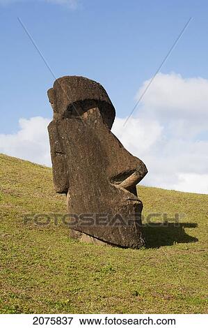 Moai By The Quarry On The Outer Slope Of The Rano Raraku Volcano, Rapa Nui (Easter Island), Chile View Large Photo Image Stock Photo - Moai By The Quarry On The Outer Slope Of The Rano Raraku Volcano, Rapa Nui (Easter Island), Chile. Fotosearch