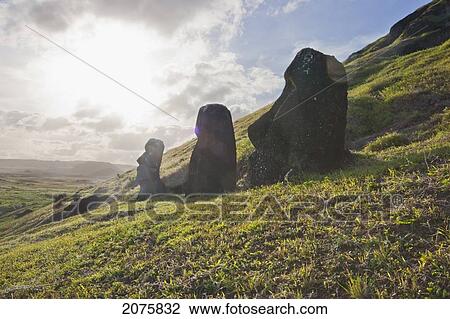 Moais By The Quarry On The Outer Slope Of The Rano Raraku Volcano, Rapa Nui (Easter Island), Chile View Large Photo Image Stock Image - Moais By The Quarry On The Outer Slope Of The Rano Raraku Volcano, Rapa Nui (Easter Island), Chile. Fotosearch