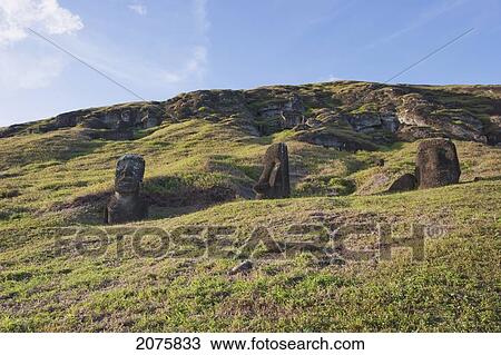 Stock Image - Moais By The Quarry On The Outer Slope Of The Rano Raraku Volcano, Rapa Nui (Easter Island), Chile. Fotosearch