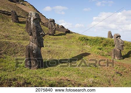 Moais By The Quarry On The Outer Slope Of The Rano Raraku Volcano, Rapa Nui (Easter Island), Chile View Large Photo Image Stock Image - Moais By The Quarry On The Outer Slope Of The Rano Raraku Volcano, Rapa Nui (Easter Island), Chile. Fotosearch