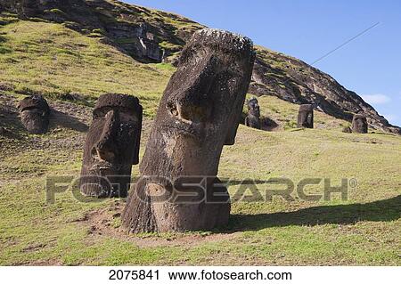 Moais By The Quarry On The Outer Slope Of The Rano Raraku Volcano, Rapa Nui (Easter Island), Chile View Large Photo Image Stock Image - Moais By The Quarry On The Outer Slope Of The Rano Raraku Volcano, Rapa Nui (Easter Island), Chile. Fotosearch