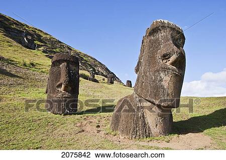 Moais By The Quarry On The Outer Slope Of The Rano Raraku Volcano, Rapa Nui (Easter Island), Chile View Large Photo Image Stock Image - Moais By The Quarry On The Outer Slope Of The Rano Raraku Volcano, Rapa Nui (Easter Island), Chile. Fotosearch