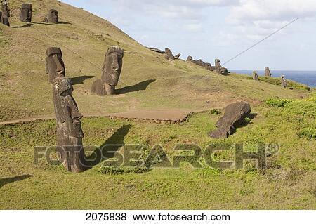 Moais By The Quarry On The Outer Slope Of The Rano Raraku Volcano, Rapa Nui (Easter Island), Chile View Large Photo Image Stock Photo - Moais By The Quarry On The Outer Slope Of The Rano Raraku Volcano, Rapa Nui (Easter Island), Chile. Fotosearch