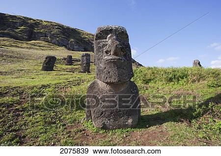 Moais By The Quarry On The Outer Slope Of The Rano Raraku Volcano, Rapa Nui (Easter Island), Chile View Large Photo Image Stock Photo - Moais By The Quarry On The Outer Slope Of The Rano Raraku Volcano, Rapa Nui (Easter Island), Chile. Fotosearch