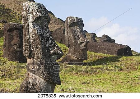 Moais By The Quarry On The Outer Slope Of The Rano Raraku Volcano, Rapa Nui (Easter Island), Chile View Large Photo Image Stock Photography - Moais By The Quarry On The Outer Slope Of The Rano Raraku Volcano, Rapa Nui (Easter Island), Chile. Fotosearch