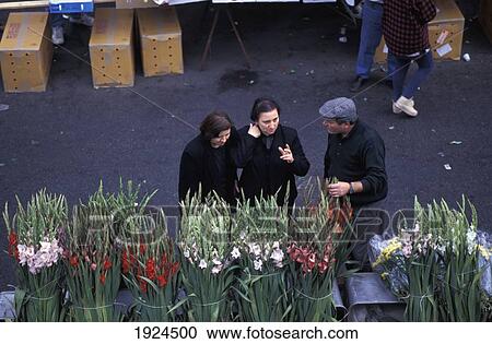 Monday Flower Market; Maschio Angiono, Naples, Italy View Large Photo Image Stock Image - Monday Flower Market; Maschio Angiono, Naples, Italy. Fotosearch