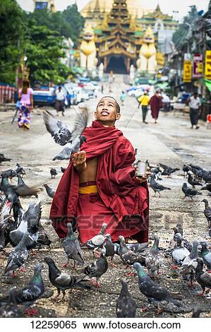 Stock Photography - Monk with pigeons, with Shwedagon temple in the background; Yangoon, Myanmar. Fotosearch