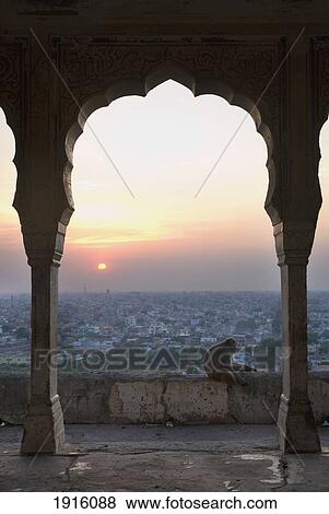 Monkey Sitting In Archway Of Building At Dusk With The City Of Jaipur Behind View Large Photo Image Stock Photo - Monkey Sitting In Archway Of Building At Dusk With The City Of Jaipur Behind. Fotosearch
