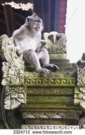 Stock Image - Monkey Sitting On Temple Column, Sacred Monkey Forest, Ubud, Bali, Indonesia. Fotosearch