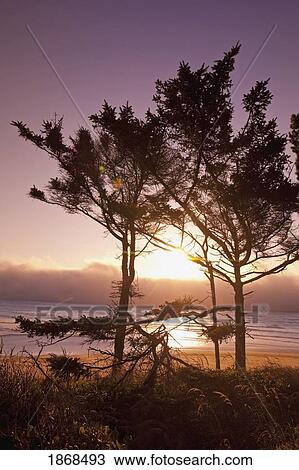 Stock Image - Moolack Beach, Oregon, United States Of America; Sunset On A Beach. Fotosearch