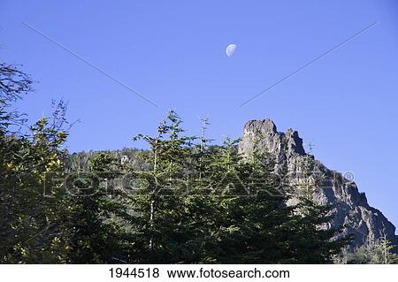 Moon over Patagonian forest, San Carlos de Bariloche, Nahuel Huapi National Park, Rio, Argentina View Large Photo Image Stock Photo - Moon over Patagonian forest, San Carlos de Bariloche, Nahuel Huapi National Park, Rio, Argentina. Fotosearch