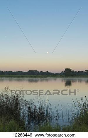 Stock Photograph - Moon setting over the Shire River at dawn, Liwonde National Park; Malawi. Fotosearch