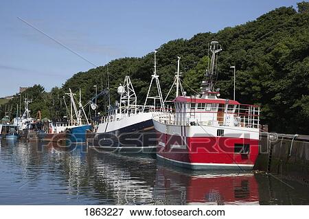 Stock Photo - Moored Boats, Eyemouth, Borders, Scotland. Fotosearch