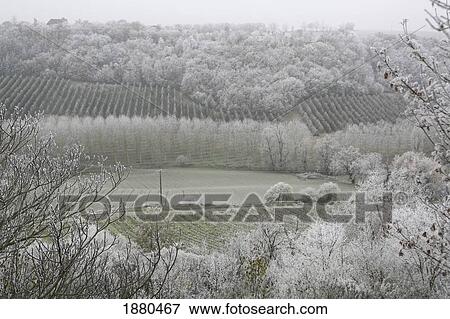 Morning Frost In December At Castelnau-Montratier View Large Photo Image Stock Photo - Morning Frost In December At Castelnau-Montratier. Fotosearch