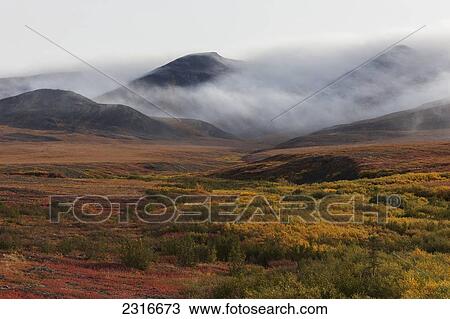 Morning Mist Rolls Over The Richardson Mountains Along The Dempster Highway; Yukon Canada View Large Photo Image Stock Image - Morning Mist Rolls Over The Richardson Mountains Along The Dempster Highway; Yukon Canada. Fotosearch