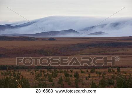 Stock Image - Morning Mist Rolls Over The Richardson Mountains Along The Dempster Highway; Yukon Canada. Fotosearch