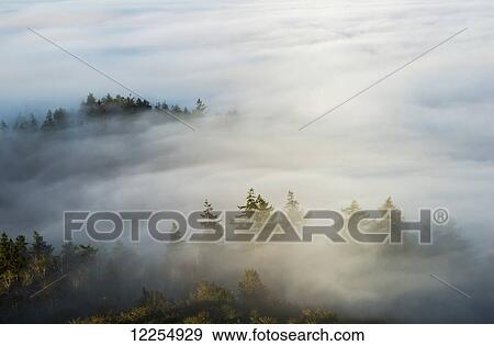 Stock Photo - Morning sun lights up the fog; Astoria, Oregon, United States of America. Fotosearch